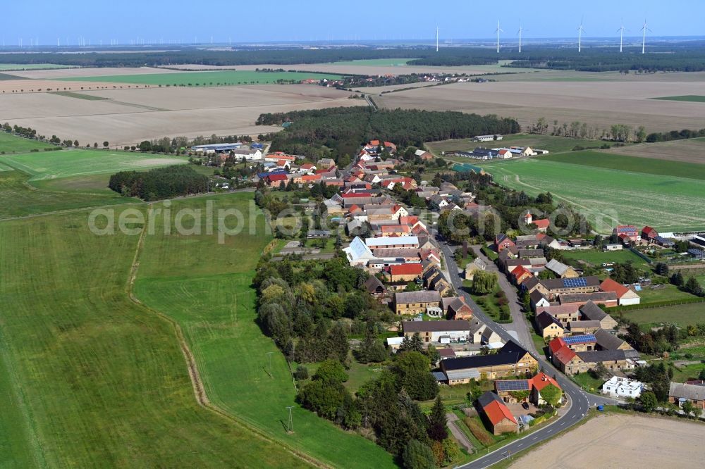 Leetza from above - Village view in Leetza in the state Saxony-Anhalt, Germany
