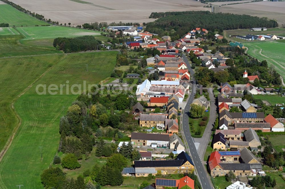 Aerial image Leetza - Village view in Leetza in the state Saxony-Anhalt, Germany