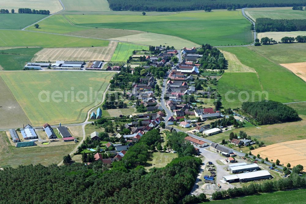 Leetza from the bird's eye view: Village view in Leetza in the state Saxony-Anhalt, Germany