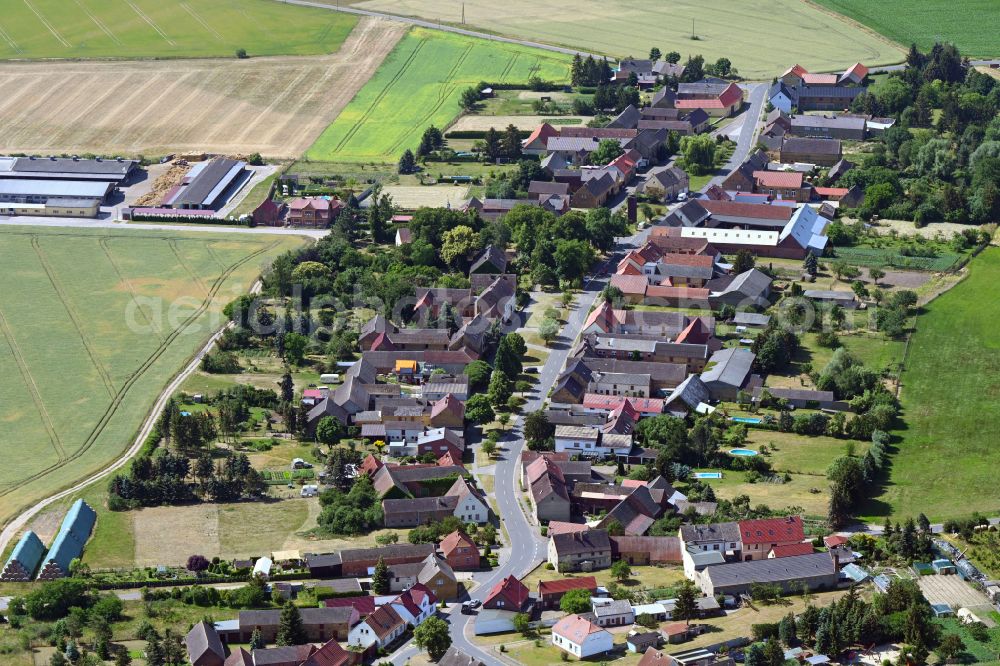Aerial photograph Leetza - Village view in Leetza in the state Saxony-Anhalt, Germany