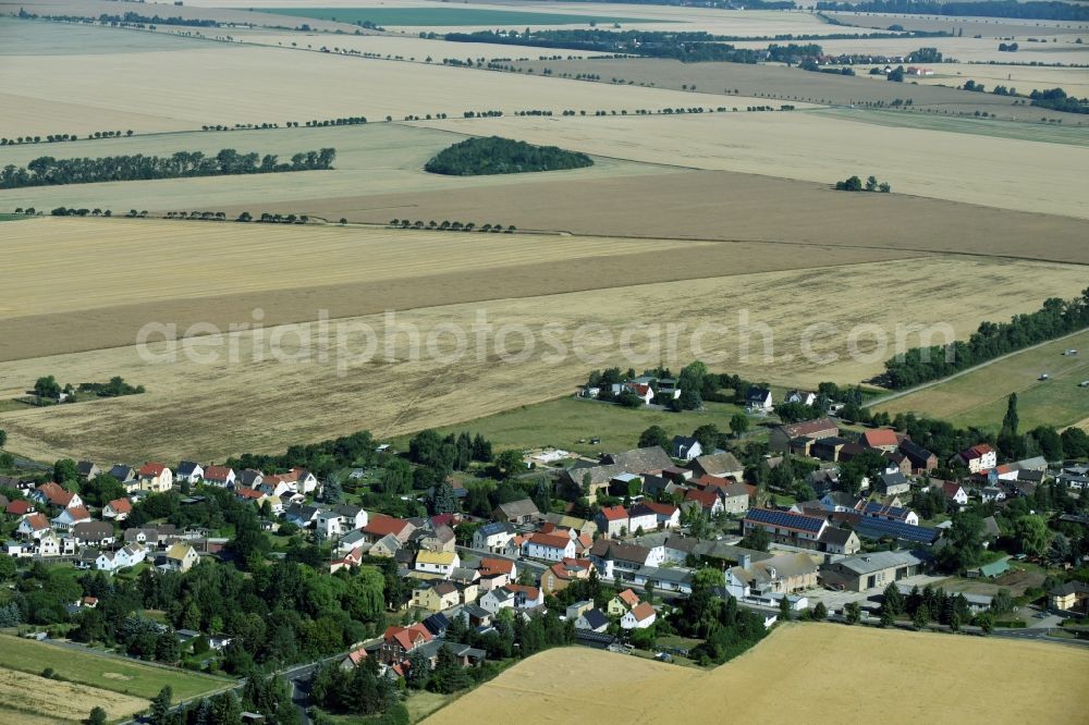 Aerial image Liemehna - Village view of Liemehna in the state Saxony