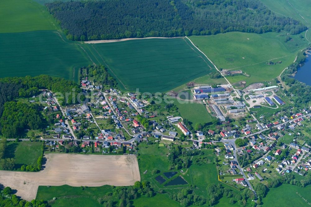 Aerial photograph Liessow - Village view on Dorfstrasse in Liessow in the state Mecklenburg - Western Pomerania, Germany