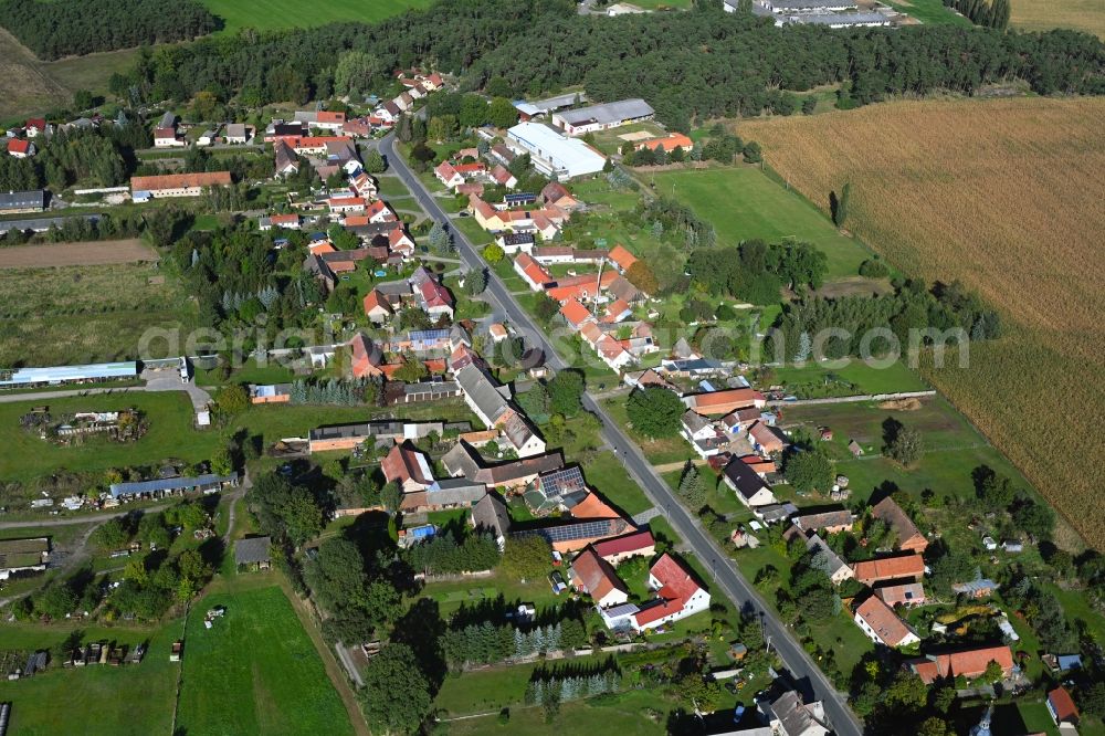 Malitschkendorf from the bird's eye view: Village view in Malitschkendorf in the state Brandenburg, Germany