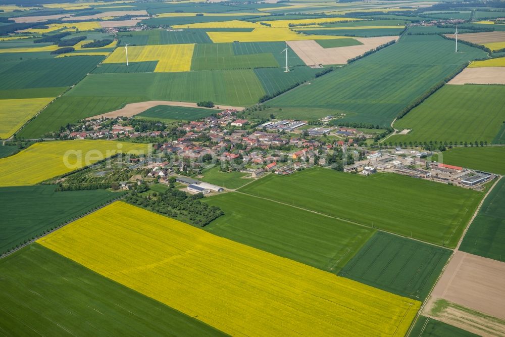 Marzahna from the bird's eye view: Village view in Marzahna in the state Brandenburg, Germany