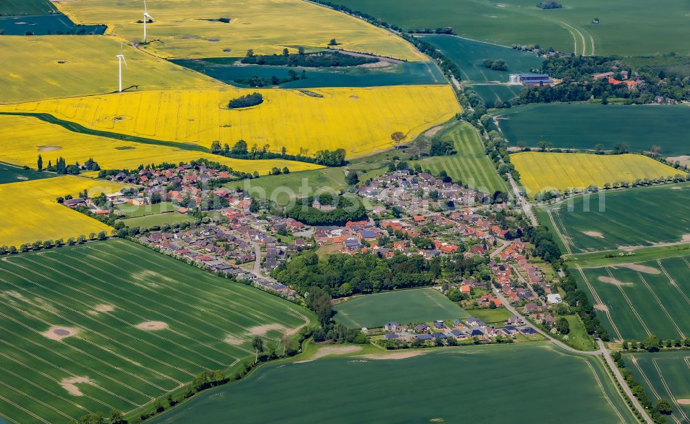 Aerial image Neukirchen - Village view in Neukirchen in the state Schleswig-Holstein, Germany