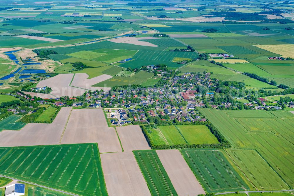 Neukirchen from the bird's eye view: Village view in Neukirchen at the baltic sea coast in the state Schleswig-Holstein, Germany