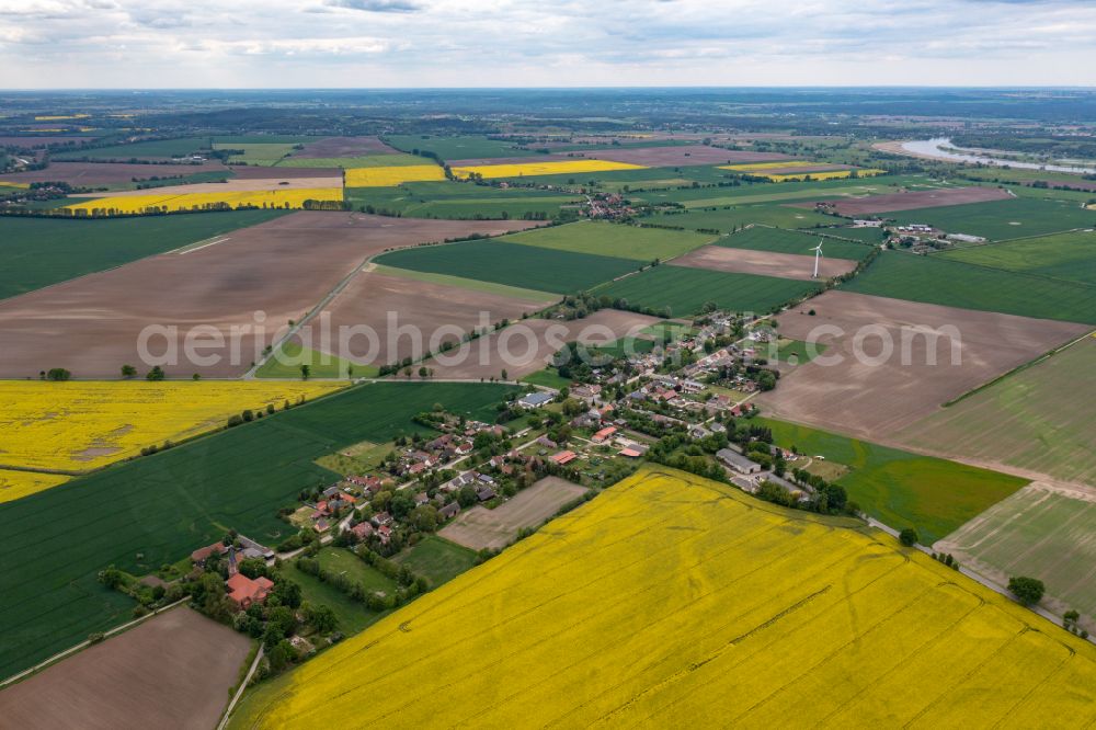 Oderaue from the bird's eye view: Village view in Neukuestrinchen in the state Brandenburg, Germany