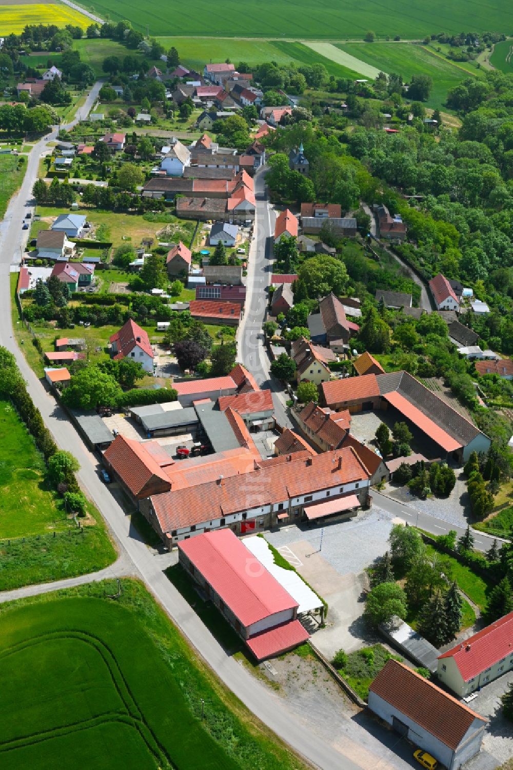 Aerial photograph Oberrißdorf - Village view in Oberrißdorf in the state Saxony-Anhalt, Germany