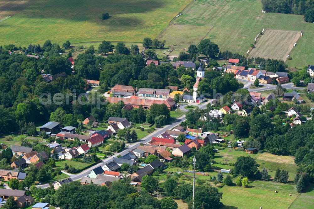 Ogrosen from the bird's eye view: Village view on street Ogrosener Dorfstrasse in Ogrosen in the state Brandenburg, Germany