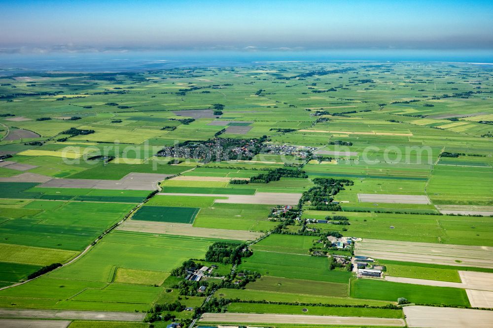 Aerial photograph Oldenswort - Village view in Oldenswort in the state Schleswig-Holstein, Germany