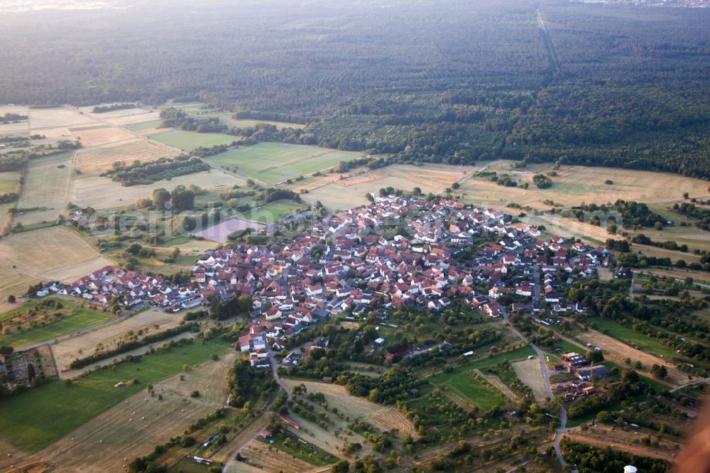 Wörth am Rhein from the bird's eye view: Village view in the district Buechelberg in Woerth am Rhein in the state Rhineland-Palatinate