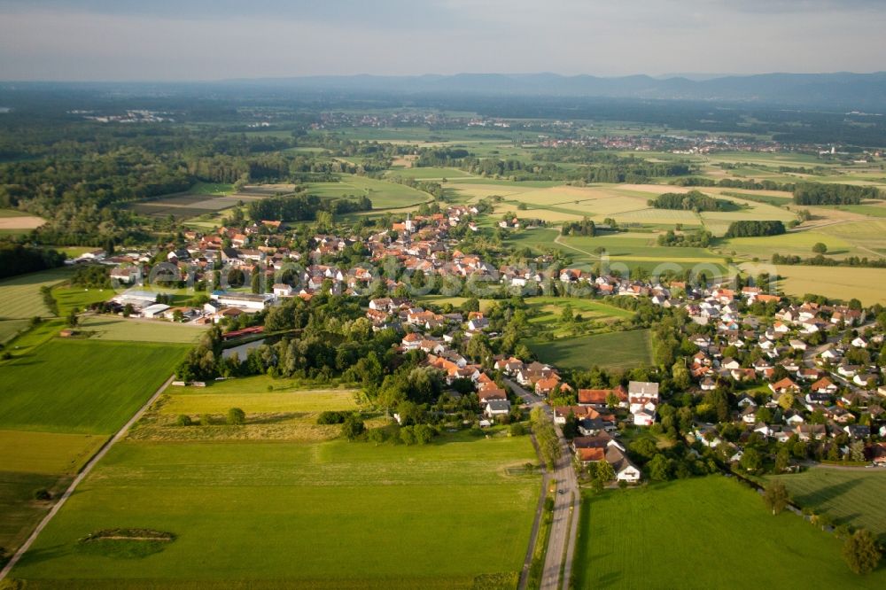 Aerial image Rheinau - Village view in the district Diersheim in Rheinau in the state Baden-Wuerttemberg