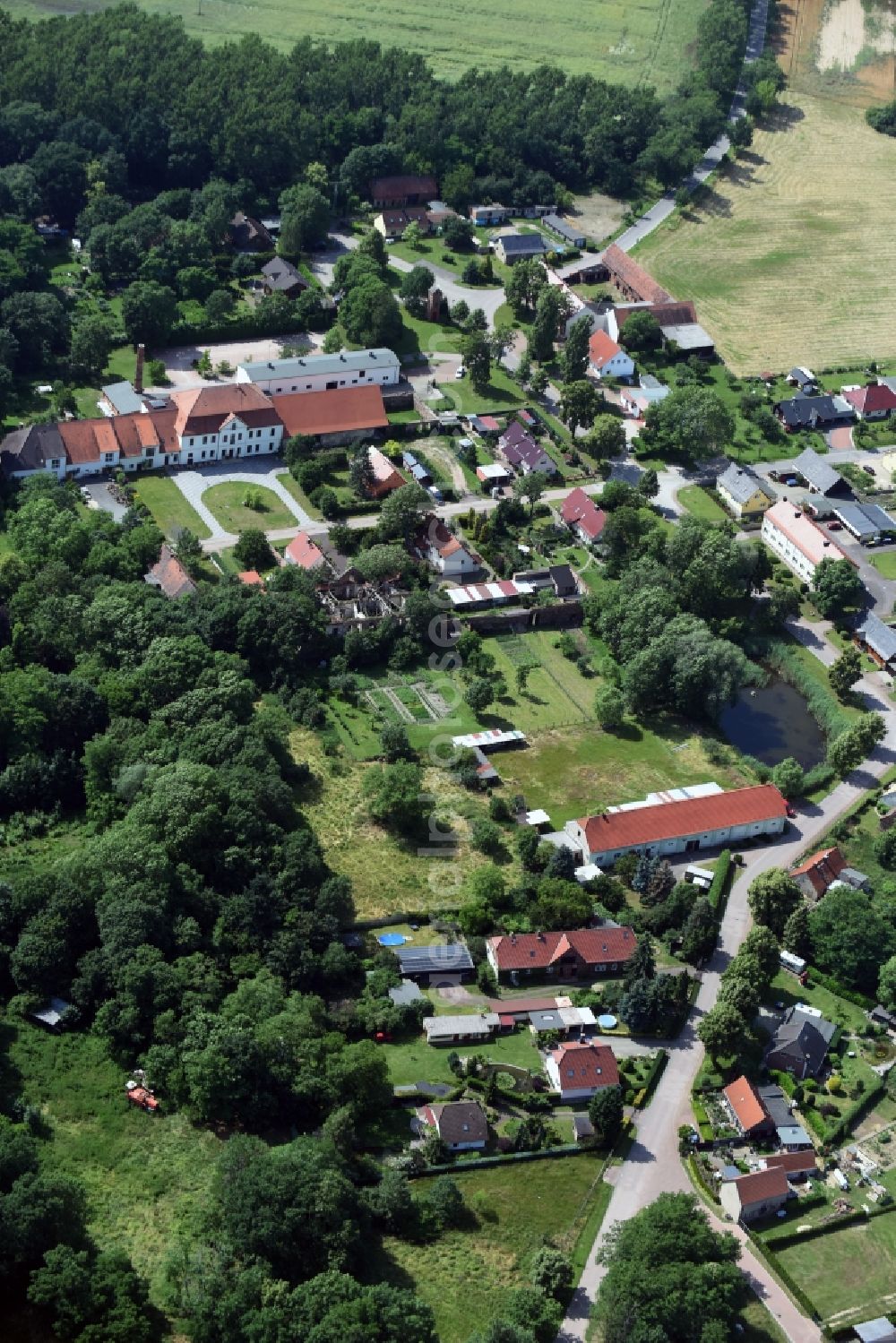 Pietzpuhl from the bird's eye view: Village view of Pietzpuhl in the state Saxony-Anhalt