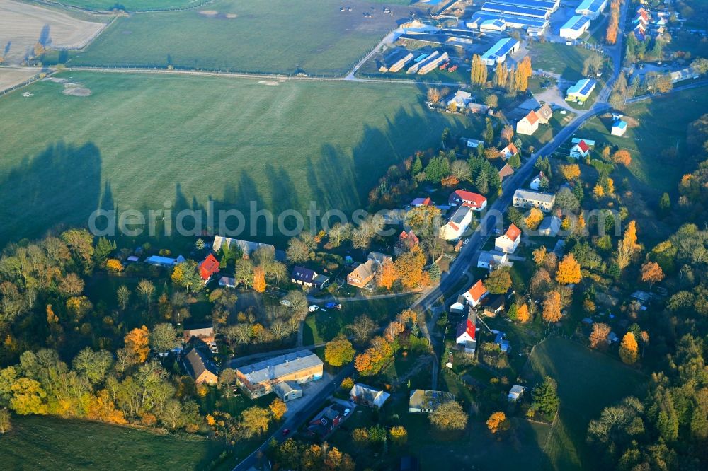 Pripsleben from the bird's eye view: Village view in Pripsleben in the state Mecklenburg - Western Pomerania, Germany