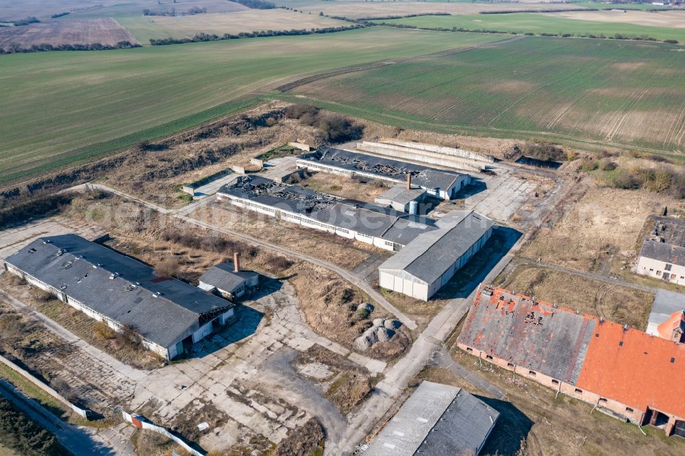 Criewen from above - Village - view on the edge of agricultural fields and farmland in Criewen in the state Brandenburg, Germany