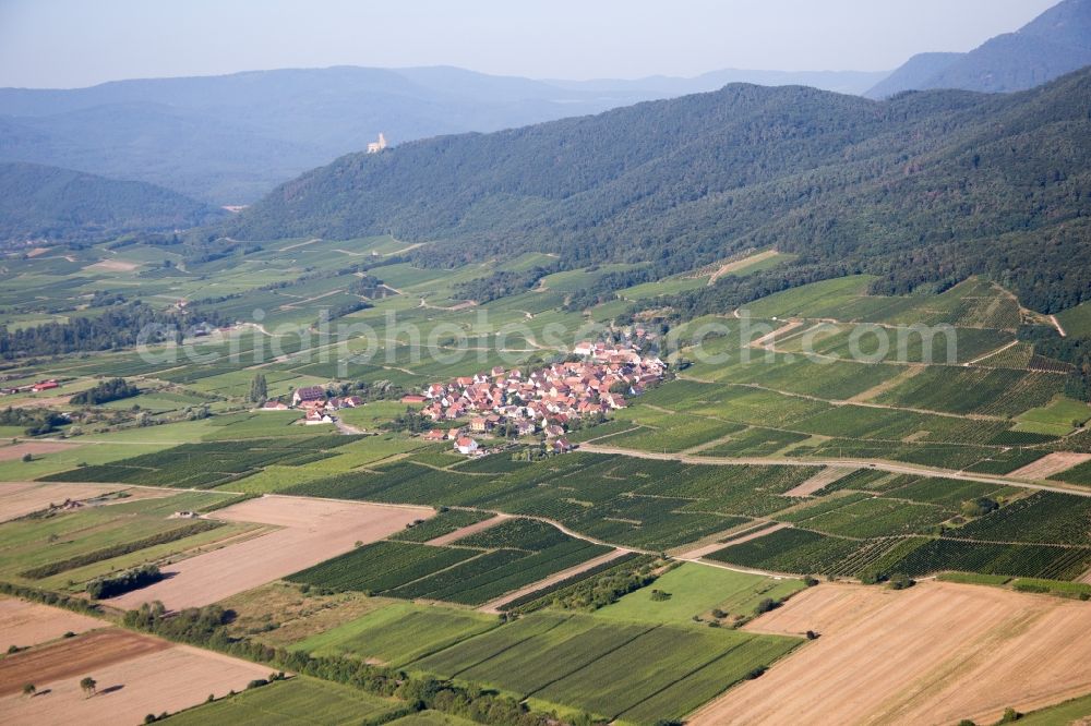 Dieffenthal from above - Village - view on the edge of agricultural fields and farmland in Dieffenthal in Grand Est, France