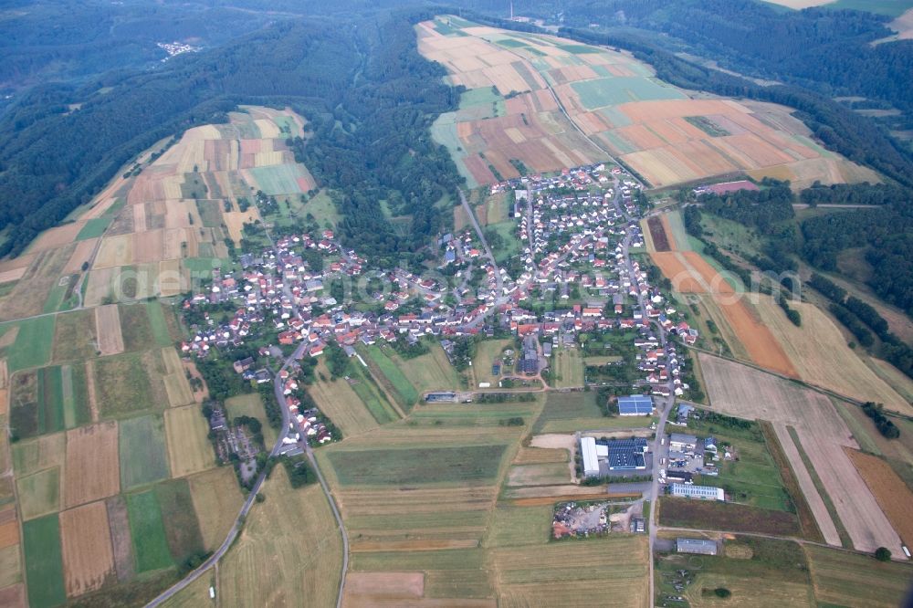 Aerial photograph Donsieders - Village - view on the edge of agricultural fields and farmland in Donsieders in the state Rhineland-Palatinate