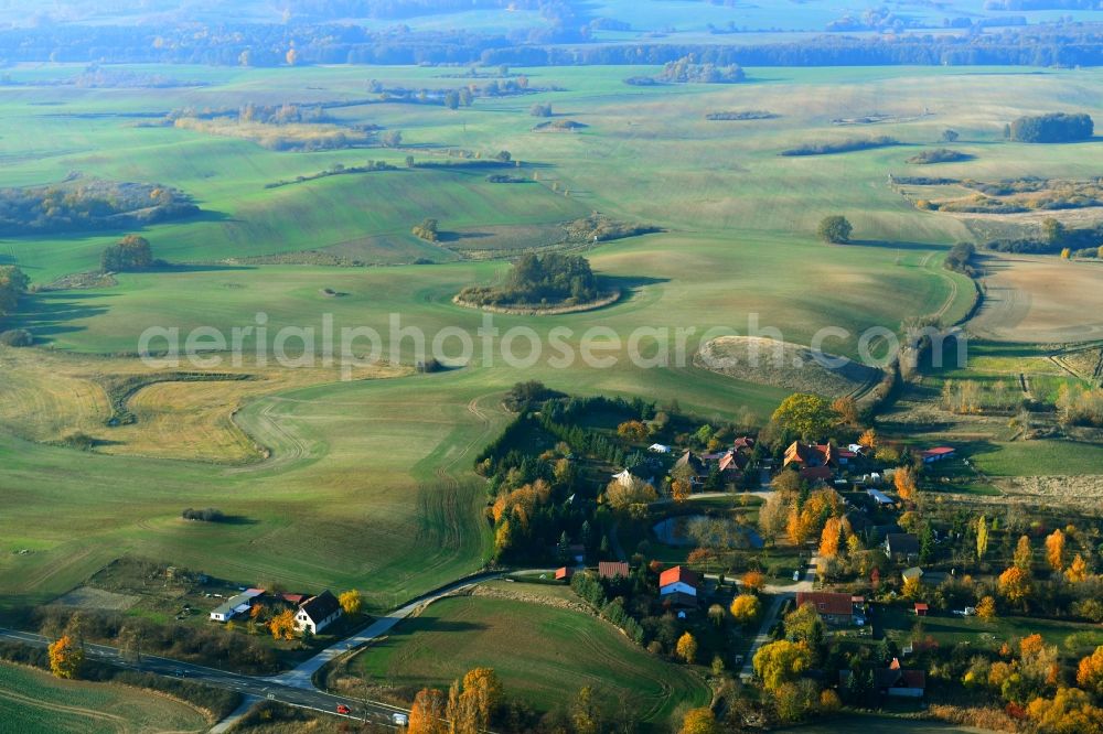 Aerial image Ehrenhof - Village - view on the edge of agricultural fields and farmland in Ehrenhof in the state Mecklenburg - Western Pomerania, Germany