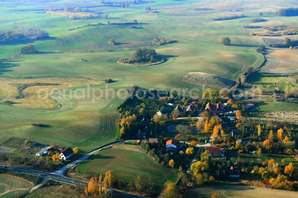 Aerial photograph Ehrenhof - Village - view on the edge of agricultural fields and farmland in Ehrenhof in the state Mecklenburg - Western Pomerania, Germany