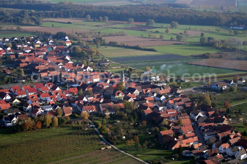 Erlenbach bei Kandel from the bird's eye view: Village - view on the edge of agricultural fields and farmland in Erlenbach bei Kandel in the state Rhineland-Palatinate