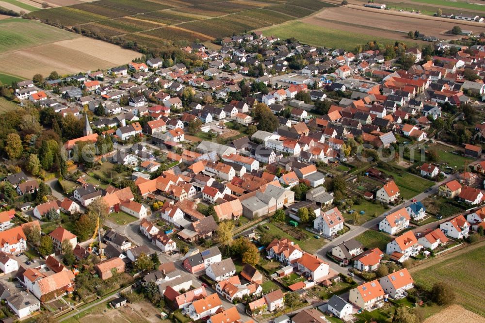 Freckenfeld from the bird's eye view: Village - view on the edge of agricultural fields and farmland in Freckenfeld in the state Rhineland-Palatinate