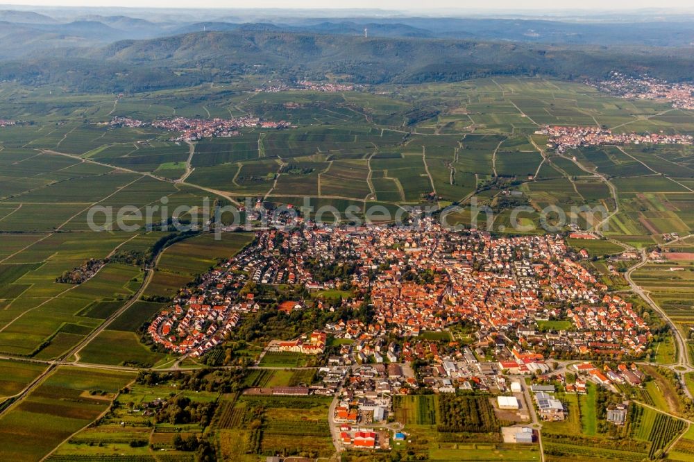 Aerial image Freinsheim - Village - view on the edge of agricultural fields and farmland in Freinsheim in the state Rhineland-Palatinate, Germany