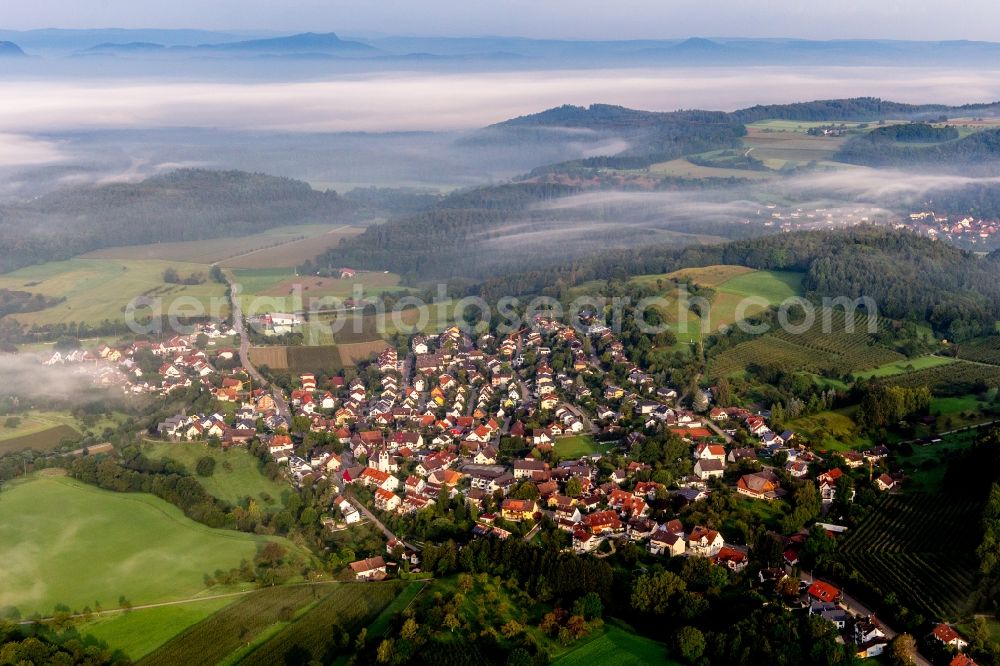 Aerial photograph Radolfzell am Bodensee - The Lake of Constance hidden by morning fog over Village - view on the edge of agricultural fields and farmland in the district Moeggingen in Radolfzell am Bodensee in the state Baden-Wuerttemberg, Germany