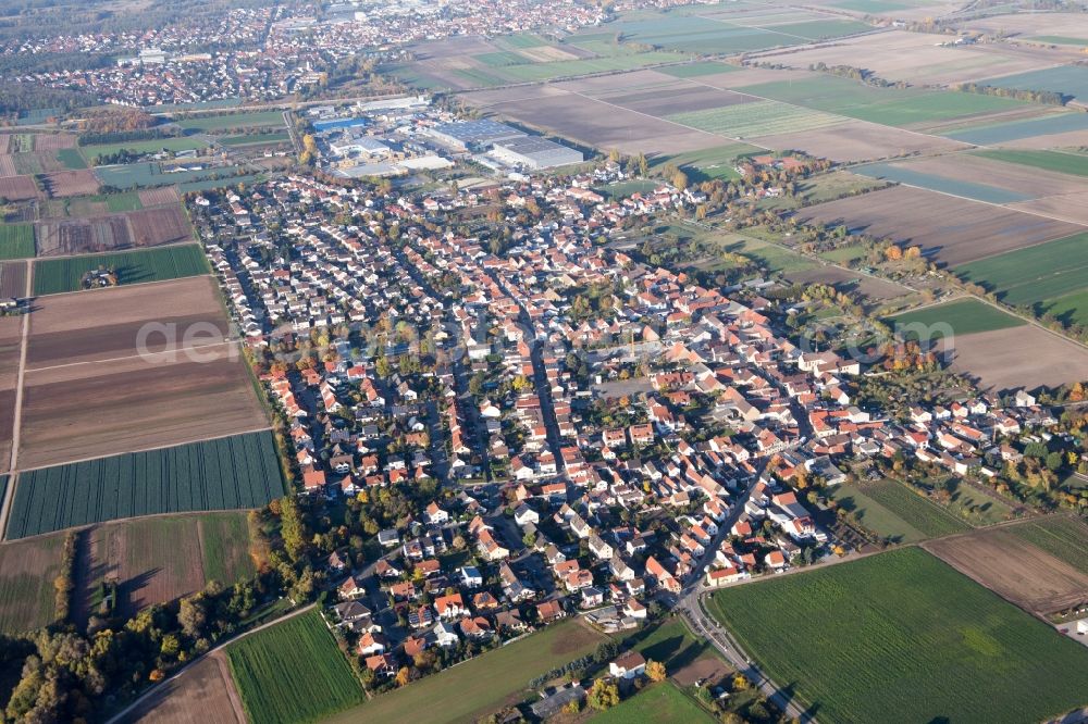 Fußgönheim from above - Village - view on the edge of agricultural fields and farmland in Fussgoenheim in the state Rhineland-Palatinate, Germany