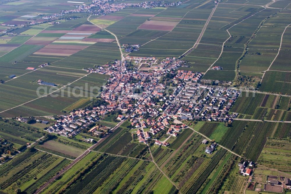 Fußgönheim from the bird's eye view: Village - view on the edge of agricultural fields and farmland in Fussgoenheim in the state Rhineland-Palatinate, Germany