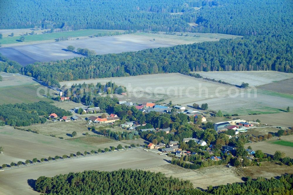 Gedelitz from the bird's eye view: Village - view on the edge of agricultural fields and farmland in Gedelitz in the state Lower Saxony, Germany