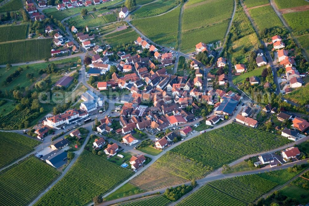 Gleiszellen-Gleishorbach from the bird's eye view: Village - view on the edge of agricultural fields and farmland in Gleiszellen-Gleishorbach in the state Rhineland-Palatinate, Germany