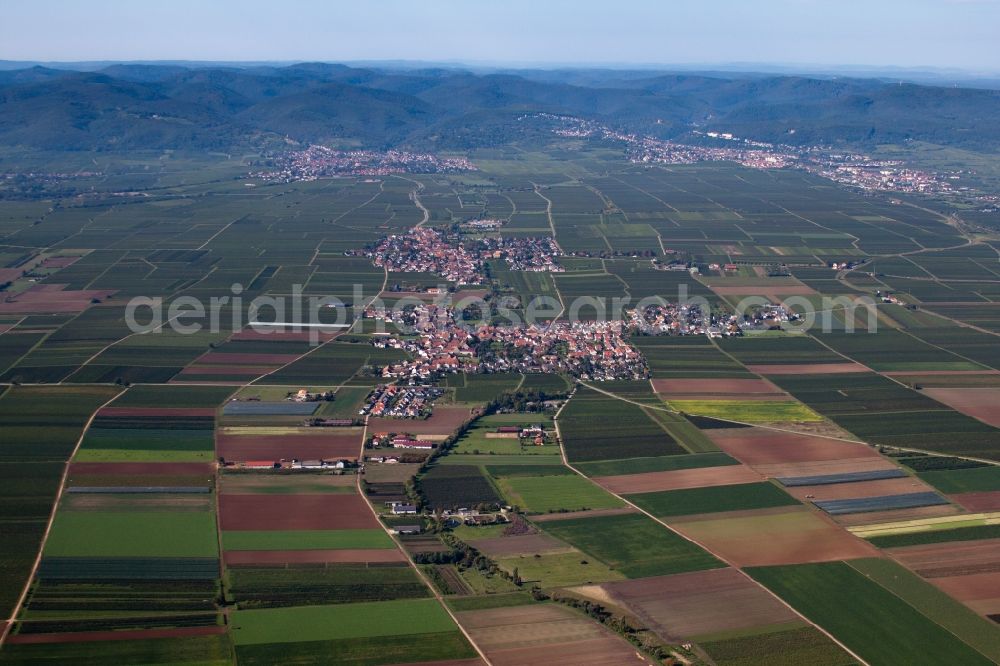 Gönnheim from the bird's eye view: Village - view on the edge of agricultural fields and farmland in Goennheim in the state Rhineland-Palatinate, Germany