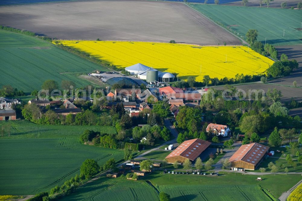 Aerial image Goldbeck - Village - view on the edge of agricultural fields and farmland in Goldbeck in the state Saxony-Anhalt, Germany