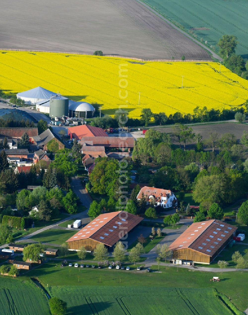 Aerial photograph Goldbeck - Village - view on the edge of agricultural fields and farmland in Goldbeck in the state Saxony-Anhalt, Germany