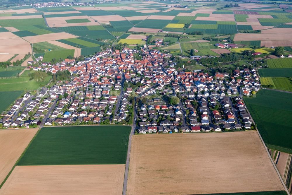 Groß-Umstadt from above - Village - view on the edge of agricultural fields and farmland in Gross-Umstadt in the state Hesse, Germany