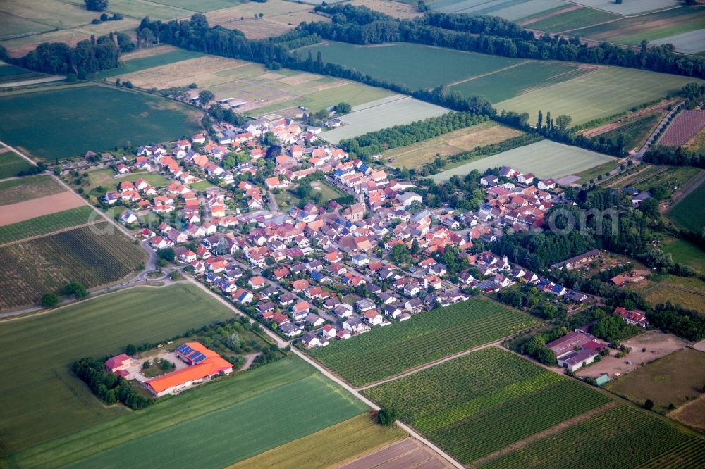 Großfischlingen from above - Village - view on the edge of agricultural fields and farmland in Grossfischlingen in the state Rhineland-Palatinate, Germany