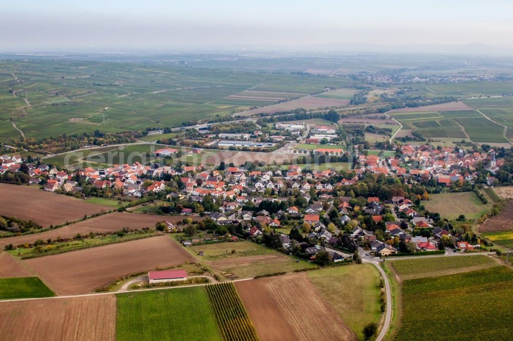 Gundersheim from above - Village - view on the edge of agricultural fields and farmland in Gundersheim in the state Rhineland-Palatinate, Germany