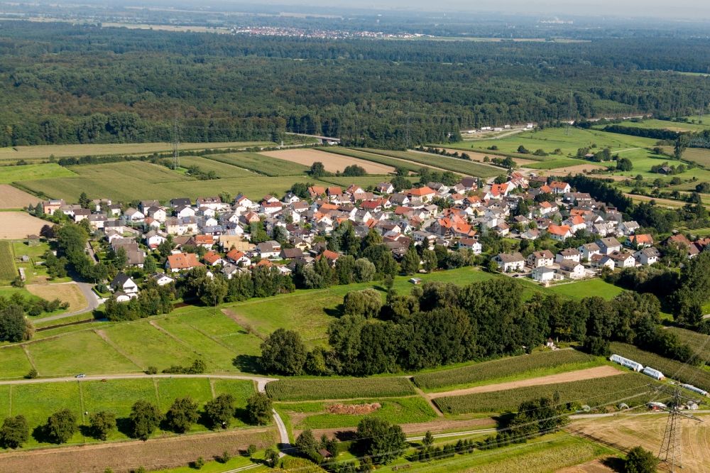 Aerial image Halberstung - Village - view on the edge of agricultural fields and farmland in Halberstung in the state Baden-Wurttemberg, Germany