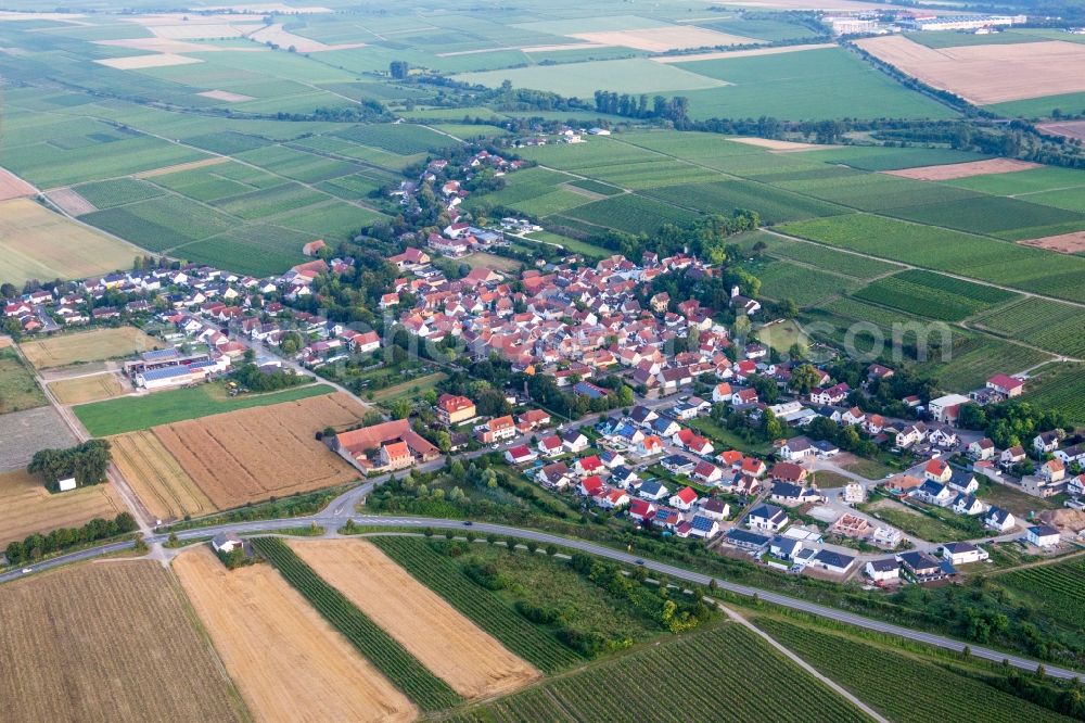 Hohen-Sülzen from above - Village - view on the edge of agricultural fields and farmland in Hohen-Suelzen in the state Rhineland-Palatinate, Germany