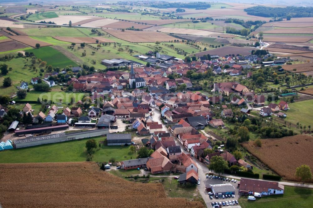 Aerial photograph Ingenheim - Village - view on the edge of agricultural fields and farmland in Ingenheim in Grand Est, France