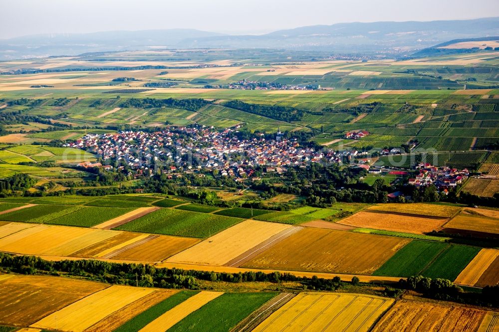 Jugenheim in Rheinhessen from the bird's eye view: Village - view on the edge of agricultural fields and farmland in Jugenheim in Rheinhessen in the state Rhineland-Palatinate, Germany