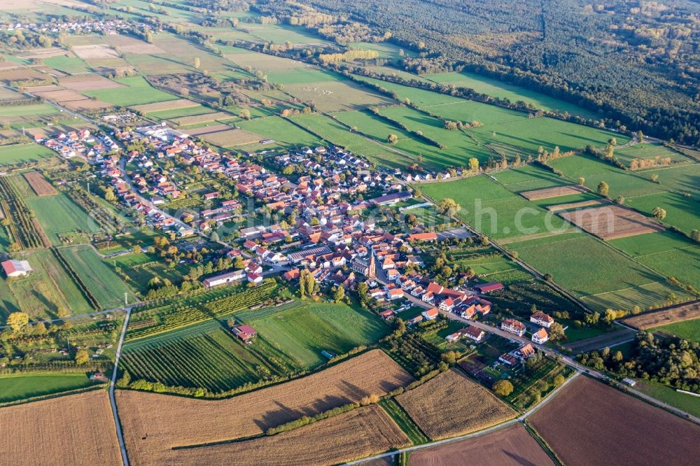 Aerial photograph Kapsweyer - Village - view on the edge of agricultural fields and farmland in Kapsweyer in the state Rhineland-Palatinate, Germany