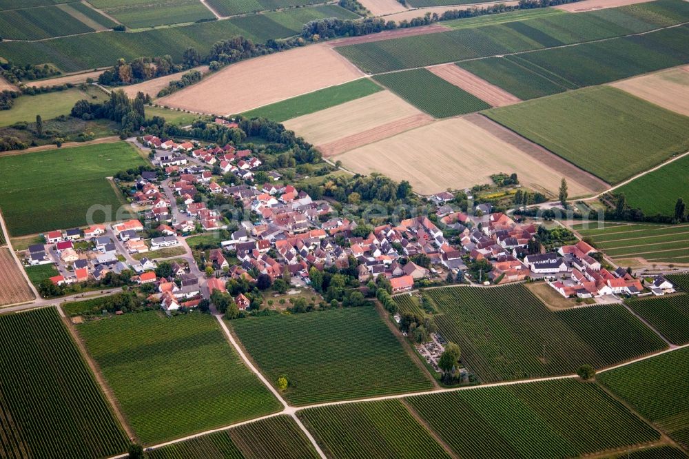 Kleinfischlingen from the bird's eye view: Village - view on the edge of agricultural fields and farmland in Kleinfischlingen in the state Rhineland-Palatinate, Germany