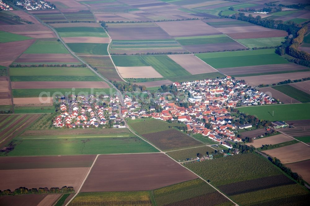 Kleinniedesheim from the bird's eye view: Village - view on the edge of agricultural fields and farmland in Kleinniedesheim in the state Rhineland-Palatinate, Germany