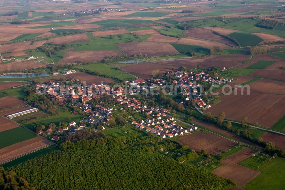 Kutzenhausen from above - Village - view on the edge of agricultural fields and farmland in Kutzenhausen in Grand Est, France