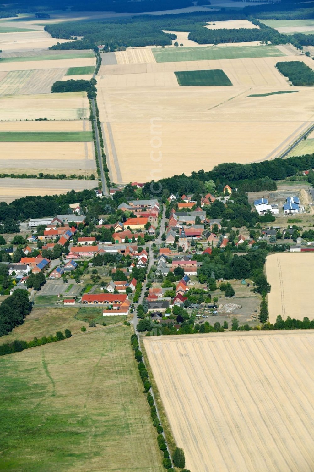 Mechau from the bird's eye view: Village - view on the edge of agricultural fields and farmland in Mechau in the state Saxony-Anhalt, Germany