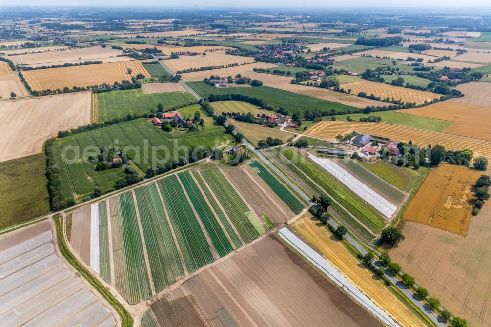 Aerial photograph Mersch - Village - view on the edge of agricultural fields and farmland in Mersch in the state North Rhine-Westphalia, Germany