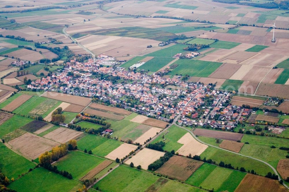 Minfeld from above - Village - view on the edge of agricultural fields and farmland in Minfeld in the state Rhineland-Palatinate