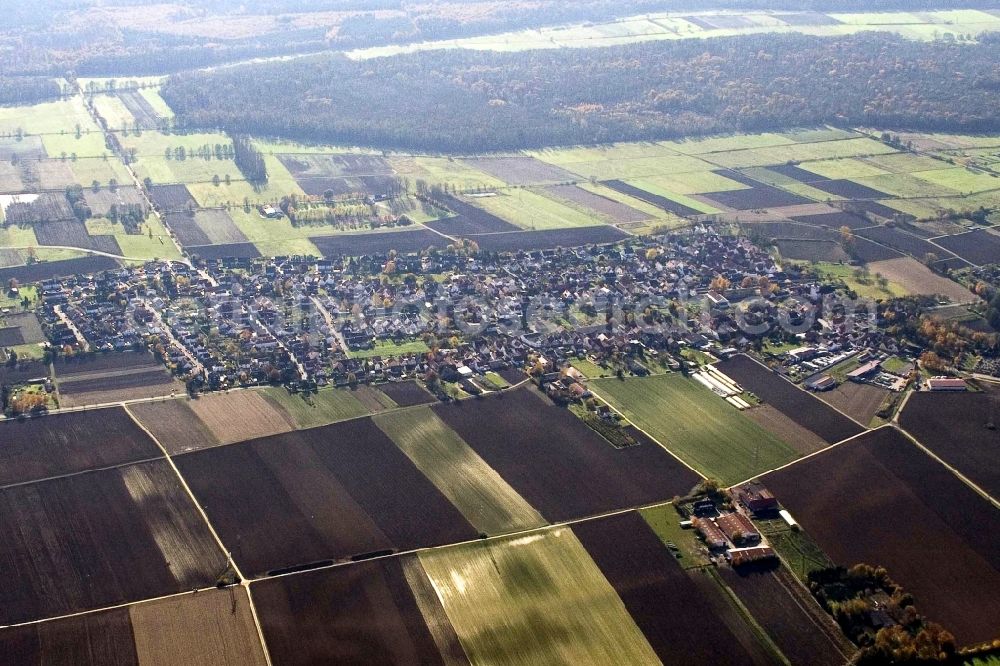 Aerial image Minfeld - Village - view on the edge of agricultural fields and farmland in Minfeld in the state Rhineland-Palatinate