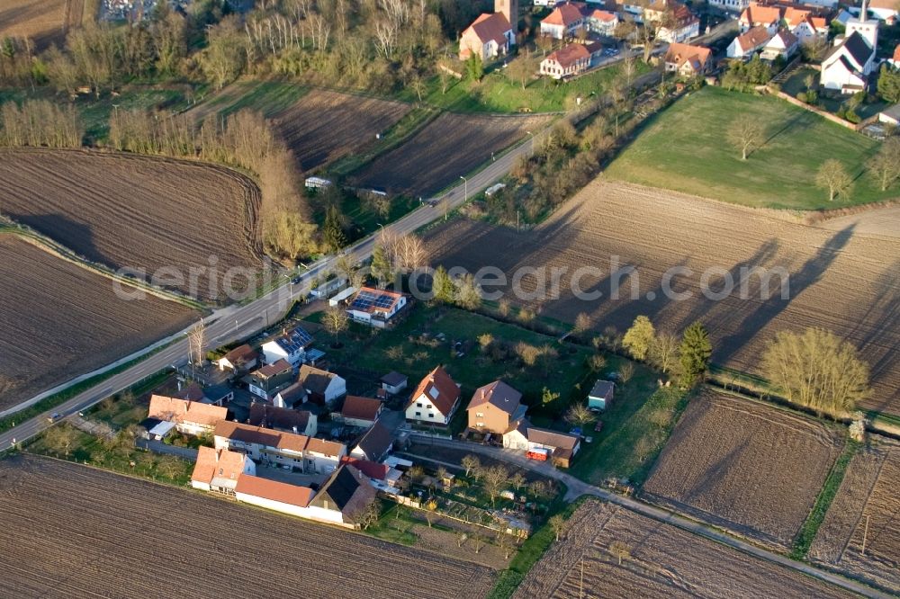 Minfeld from above - Village - view on the edge of agricultural fields and farmland in Minfeld in the state Rhineland-Palatinate